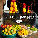 2011年,转型下的人才选择(图1) 2011年,转型下的人才选择(图1)