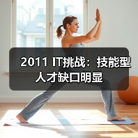 2011 IT挑战：技能型人才缺口明显（图3）