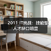 2011 IT挑战：技能型人才缺口明显（图2）