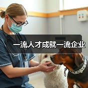 一流人才成就一流企业（图2）
