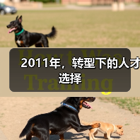 2011年，转型下的人才选择（图4）
