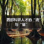 西部科研人才的“流”与“留”（图3）