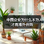 中国企业为什么不为人才而海外并购（图1）
