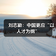 刘志勤：中国更应“以人才为纲”（图2）