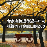 专家测算退休迟一年可减缓养老金缺口约200亿（图2）