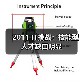 2011 IT挑战：技能型人才缺口明显（图1）