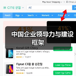 中国企业领导力与建设框架（图4）