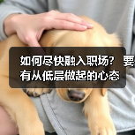 如何尽快融入职场？ 要有从低层做起的心态（图3）