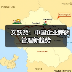 文跃然：中国企业薪酬管理新趋势（图3）
