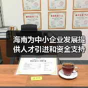 海南为中小企业发展提供人才引进和资金支持（图1）