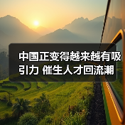 中国正变得越来越有吸引力 催生人才回流潮（图2）
