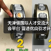 天津借国际人才交流大会平台 营造优良引才环境（图2）