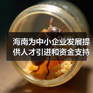 海南为中小企业发展提供人才引进和资金支持（图2）