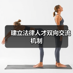 建立法律人才双向交流机制（图2）