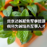 普京访越聚焦军事能源 俄将为越培养军事人才（图2）