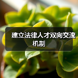 建立法律人才双向交流机制（图1）
