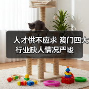 人才供不应求 澳门四大行业缺人情况严峻(图2) 人才供不应求 澳门四大行业缺人情况严峻(图2)