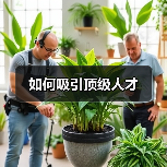 如何吸引顶级人才（图2）