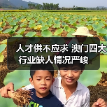 人才供不应求 澳门四大行业缺人情况严峻(图4) 人才供不应求 澳门四大行业缺人情况严峻(图4)