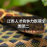 江苏人才竞争力跃居全国第二（图3）