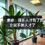 唐骏：很多人才到了国企就不是人才了（图2）