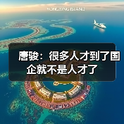 唐骏：很多人才到了国企就不是人才了（图1）