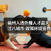 福州入选外籍人才最关注八城市 政策环境受青睐（图4）
