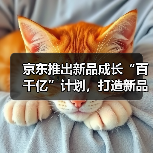 京东推出新品成长“百千亿”计划，打造新品营销阵地（图4）