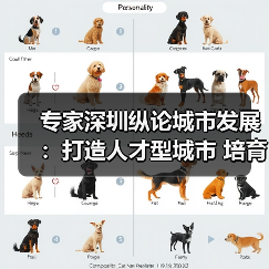专家深圳纵论城市发展：打造人才型城市 培育创新文化（图1）