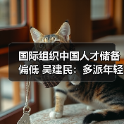 国际组织中国人才储备偏低 吴建民：多派年轻人去（图2）