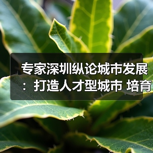 专家深圳纵论城市发展：打造人才型城市 培育创新文化（图2）