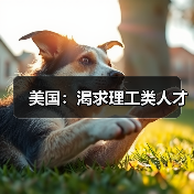 美国：渴求理工类人才（图1）