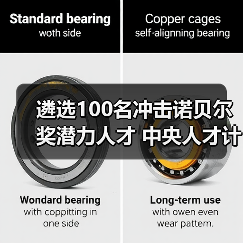 遴选100名冲击诺贝尔奖潜力人才 中央人才计划靠谱吗?（图4）
