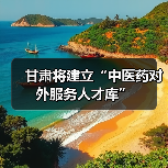 甘肃将建立“中医药对外服务人才库”（图4）