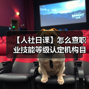 【人社日课】怎么查职业技能等级认定机构目录？（图4）
