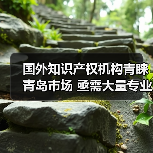 国外知识产权机构青睐青岛市场 亟需大量专业人才（图4）