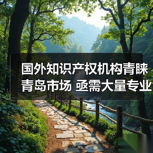 国外知识产权机构青睐青岛市场 亟需大量专业人才（图3）