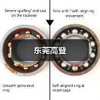 东莞高登（图2）