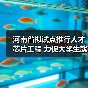 河南省拟试点推行人才芯片工程 力促大学生就业（图3）