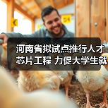 河南省拟试点推行人才芯片工程 力促大学生就业（图2）