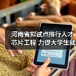 河南省拟试点推行人才芯片工程 力促大学生就业（图1）