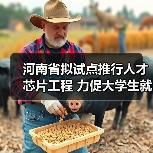 河南省拟试点推行人才芯片工程 力促大学生就业（图4）