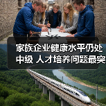家族企业健康水平仍处中级 人才培养问题最突出（图3）