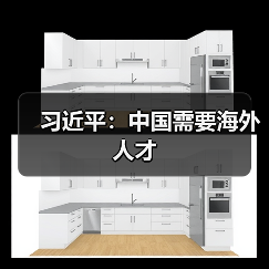 习近平：中国需要海外人才（图4）