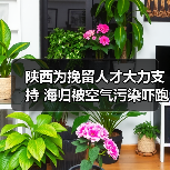 陕西为挽留人才大力支持 海归被空气污染吓跑（图3）
