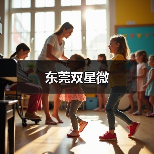 东莞双星微（图4）
