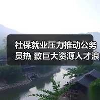 社保就业压力推动公务员热 致巨大资源人才浪费（图3）