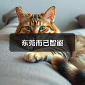 东莞而已智能（图1）