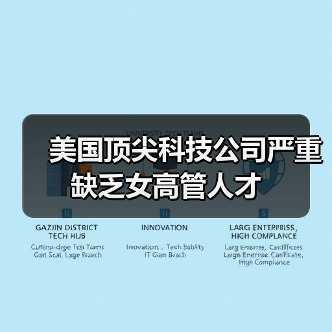 美国顶尖科技公司严重缺乏女高管人才（图4）