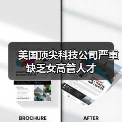 美国顶尖科技公司严重缺乏女高管人才（图1）